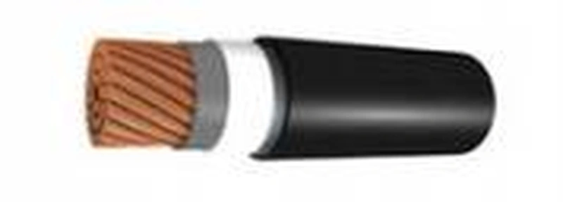 ППСКВМнг(А) 1х25 1000