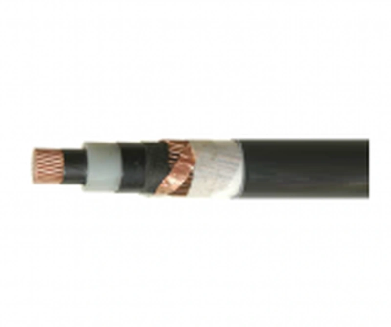 ПВВНГ 1х150/120-10