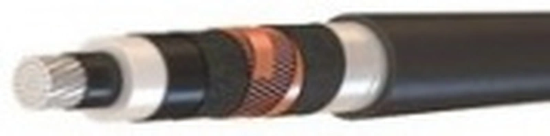 АПвСП 1х300(гж)/70-64/110