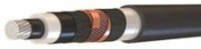 АПвСП 1х300(гж)/70-64/110