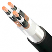 3х300/95-10